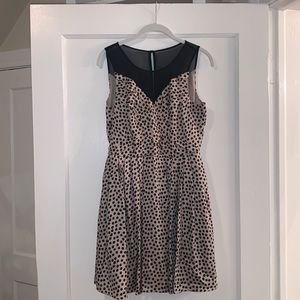 BCBGeneration Black and Tan Polka Dot Dress